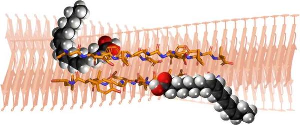 Researchers find unexpected l<em></em>ink between essential fats and insulin aggregation